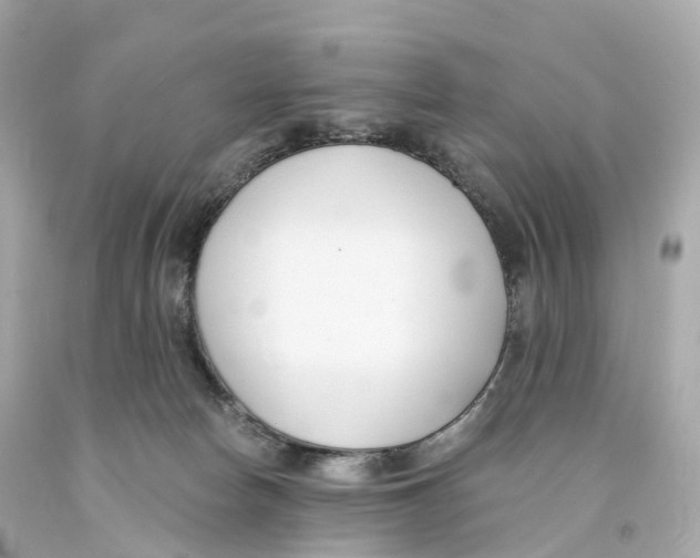 X0000093090178200710241208