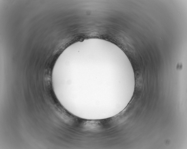 X0000093090179200710241208