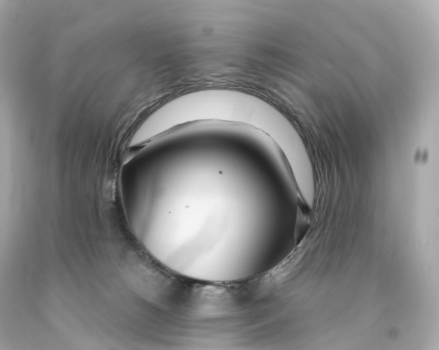 X0000093090180200710241208