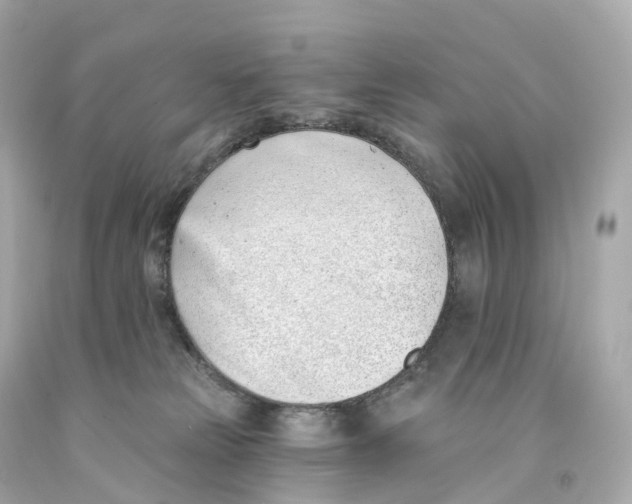 X0000093090181200710241208