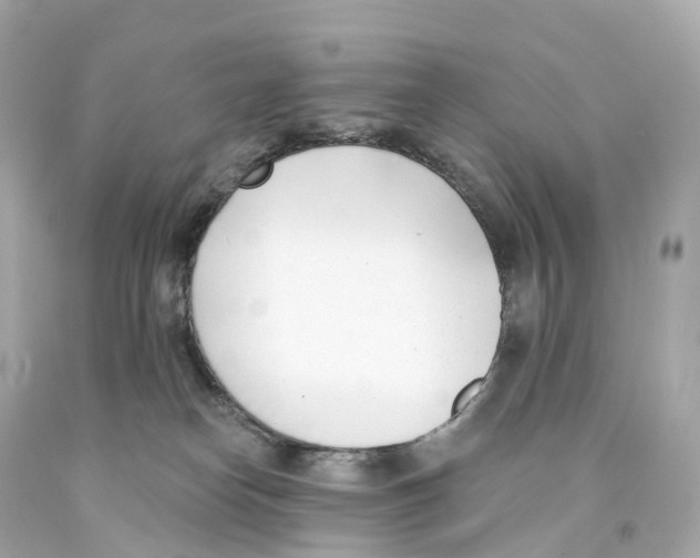 X0000093090182200710241208