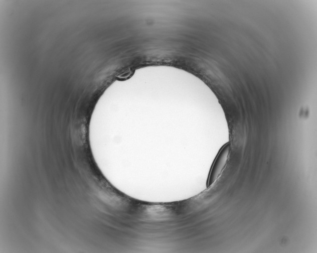 X0000093090183200710241208