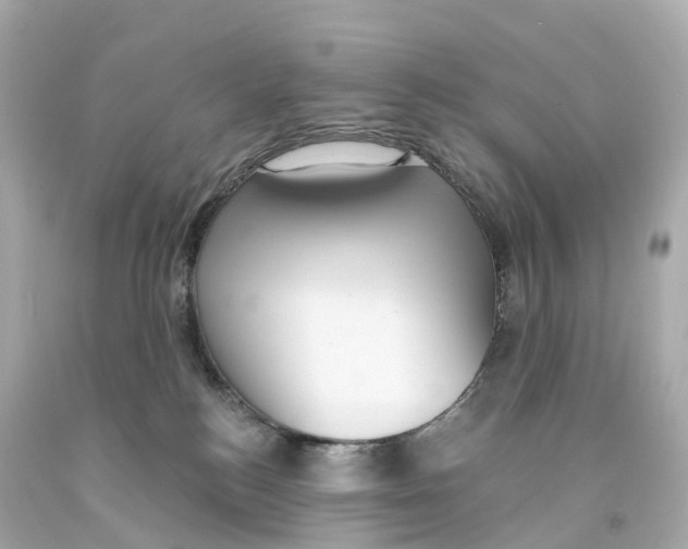 X0000093090184200710241208
