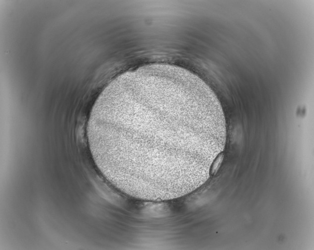 X0000093090185200710241208