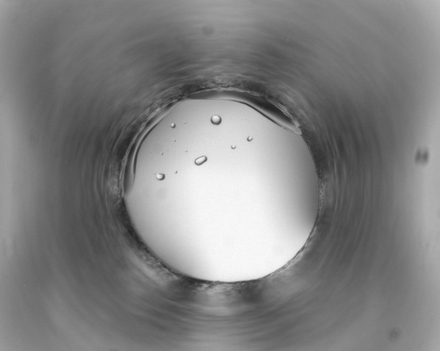 X0000093090186200710241208