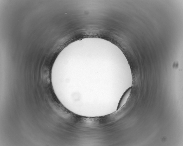 X0000093090187200710241208