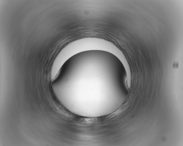 X0000093090188200710241208