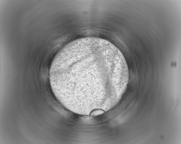 X0000093090189200710241208