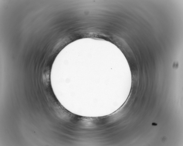 X0000093090190200710241208