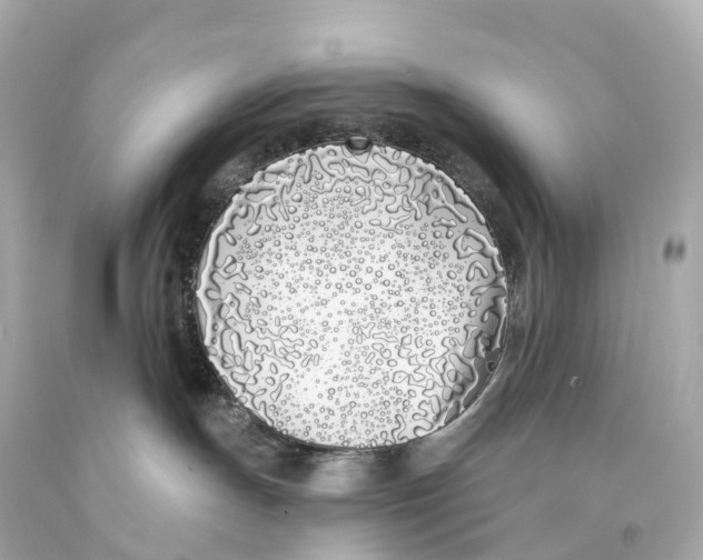 X0000093090191200710241208