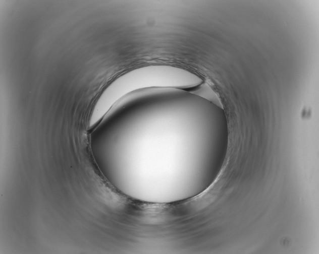 X0000093090192200710241208