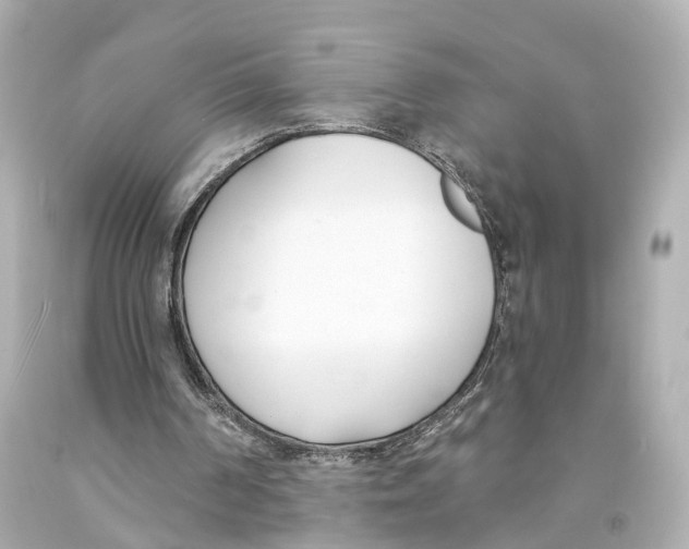 X0000093090194200710241207