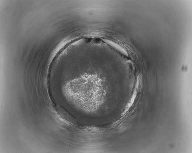 X0000093090195200710241207