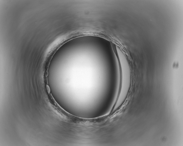 X0000093090197200710241207