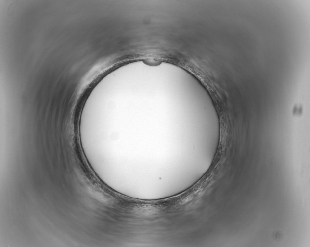 X0000093090198200710241207