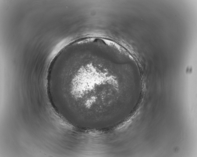X0000093090199200710241207