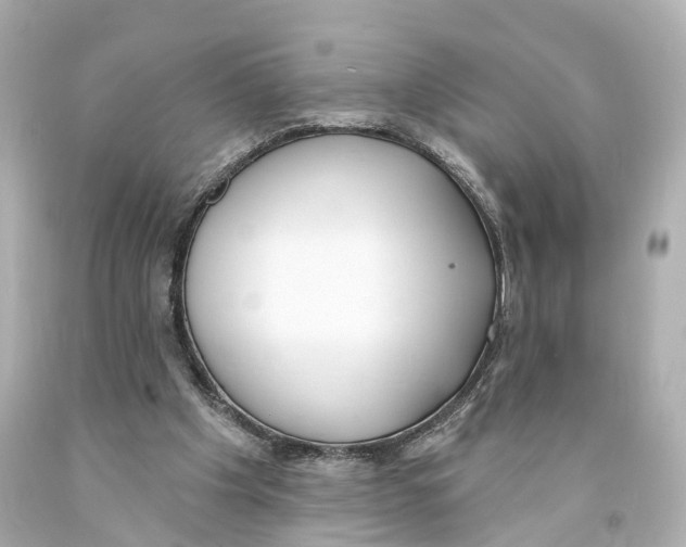X0000093090201200710241207
