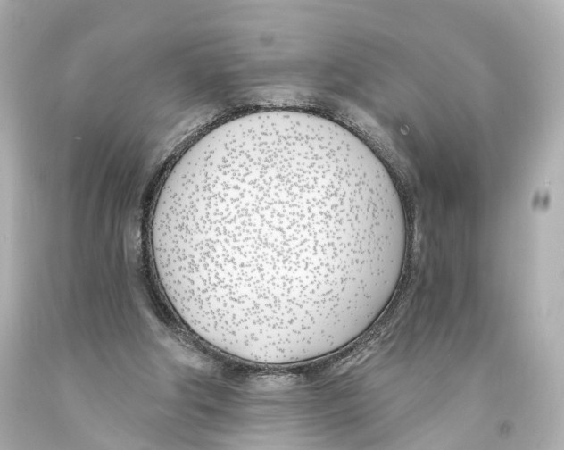 X0000093090202200710241207