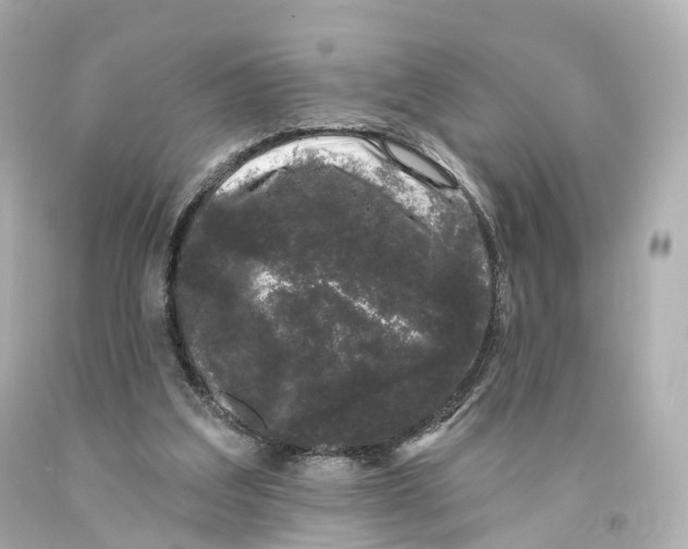 X0000093090203200710241207