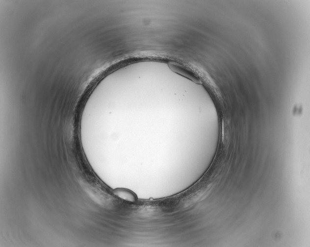 X0000093090204200710241207