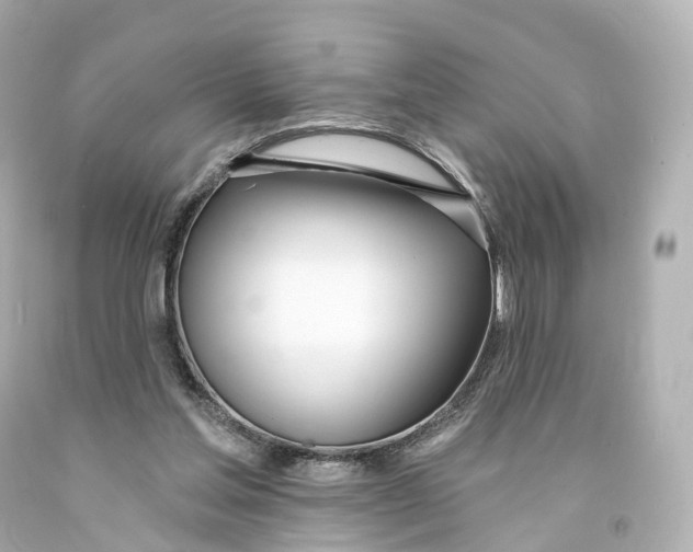 X0000093090205200710241207