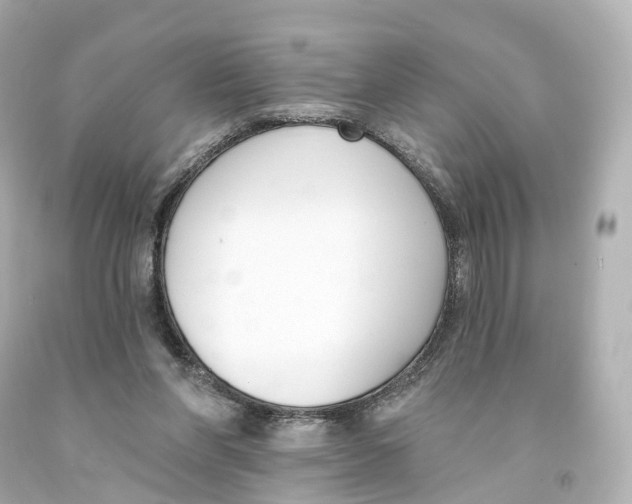 X0000093090206200710241207