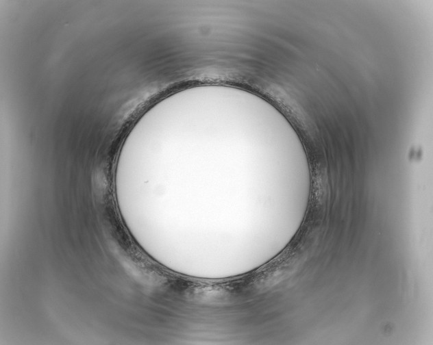 X0000093090208200710241207