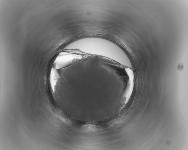 X0000093090211200710241207