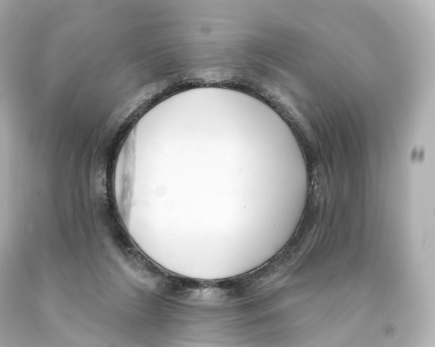 X0000093090212200710241207