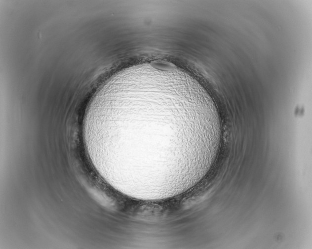 X0000093090215200710241207