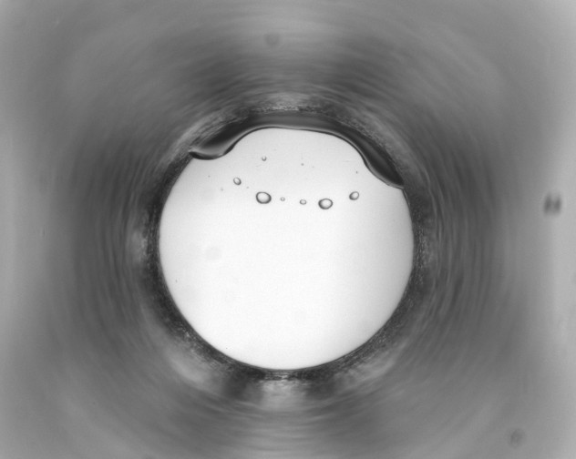 X0000093090216200710241207