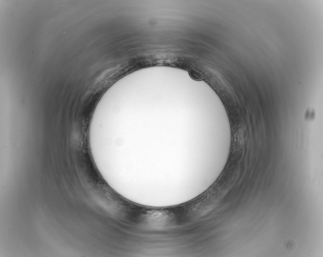 X0000093090218200710241207