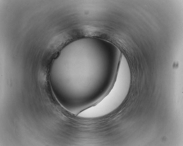 X0000093090219200710241207