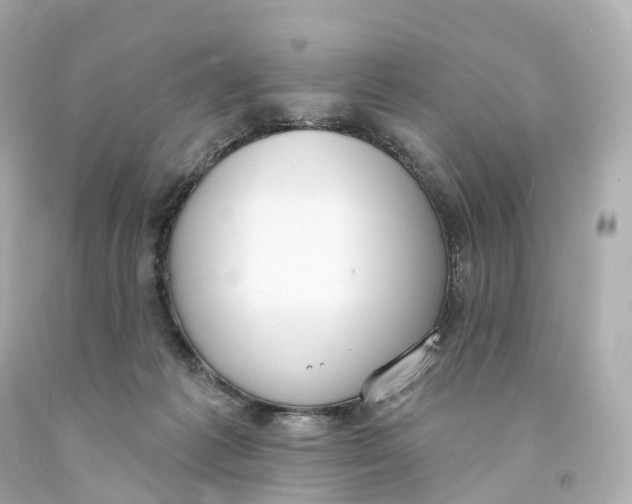 X0000093090221200710241207