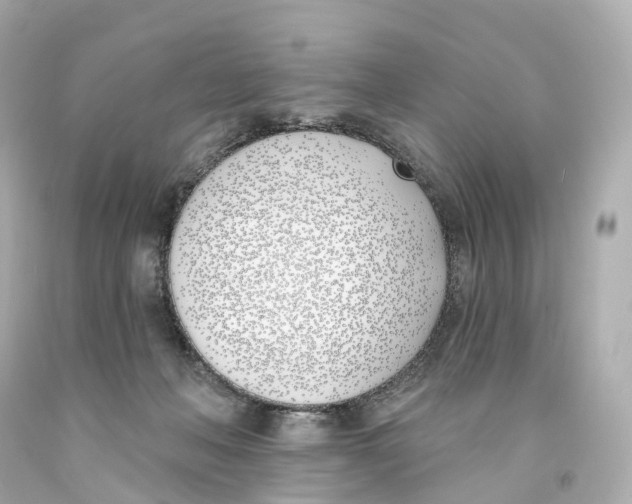 X0000093090222200710241207