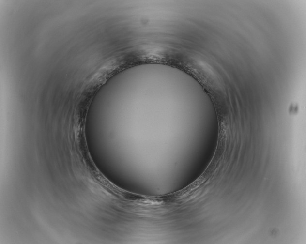 X0000093090223200710241207