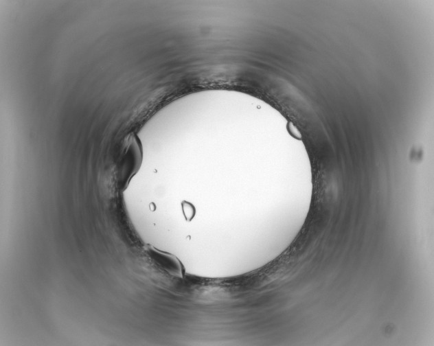 X0000093090224200710241207