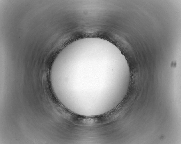 X0000093090225200710241207