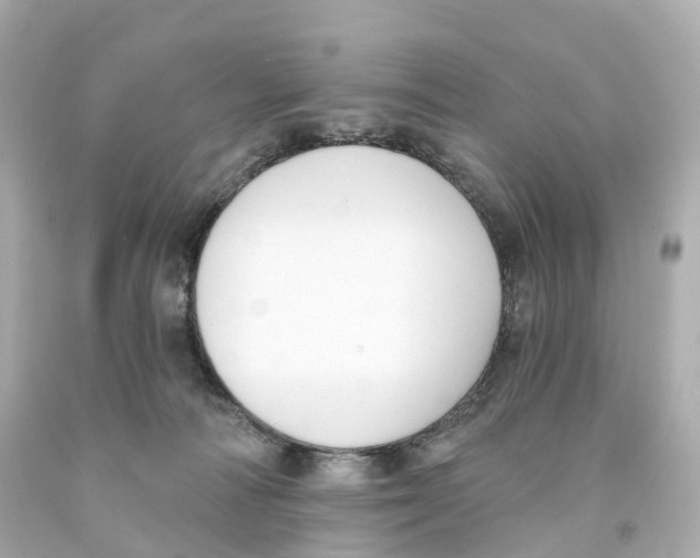 X0000093090226200710241207