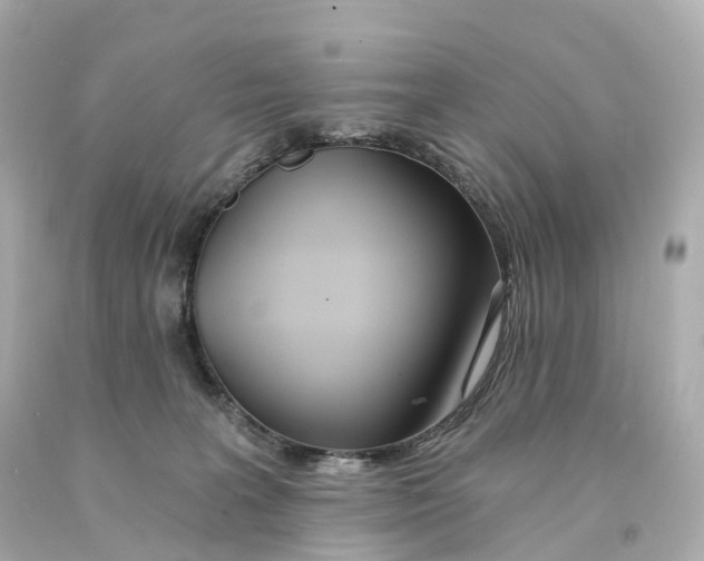 X0000093090227200710241207