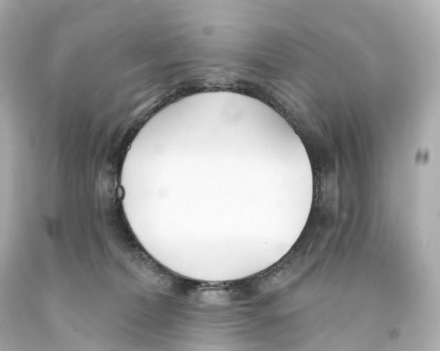 X0000093090228200710241207