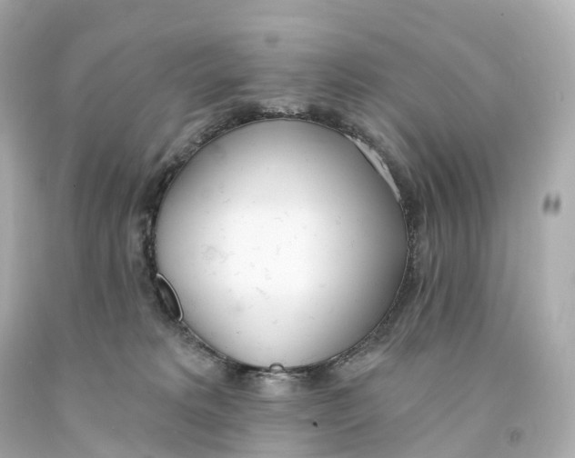 X0000093090229200710241207