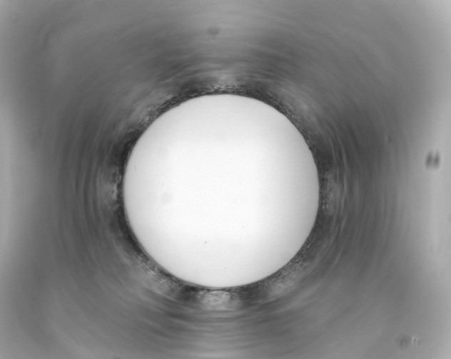 X0000093090230200710241207