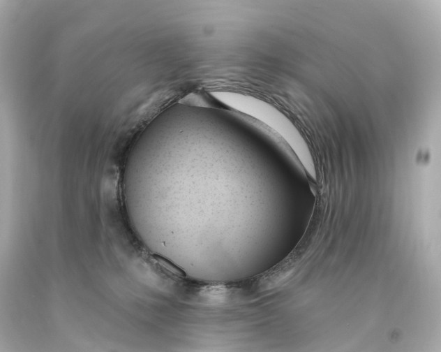 X0000093090231200710241207