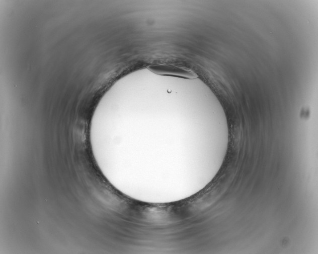 X0000093090232200710241207