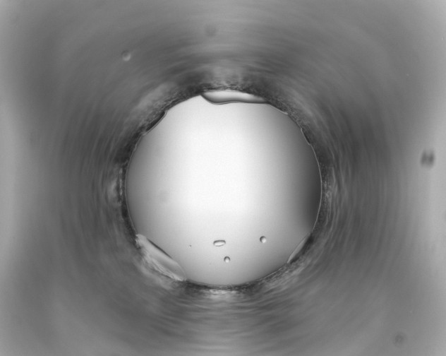 X0000093090233200710241207