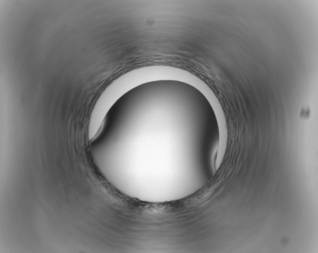 X0000093090235200710241207