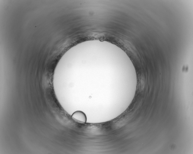 X0000093090236200710241207