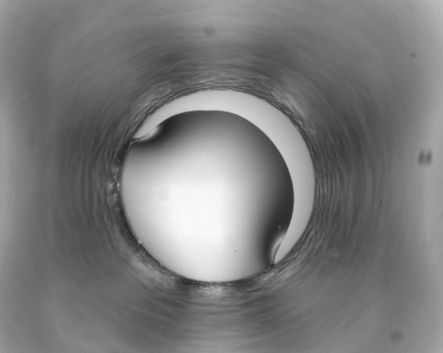 X0000093090237200710241207