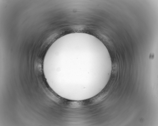 X0000093090238200710241207